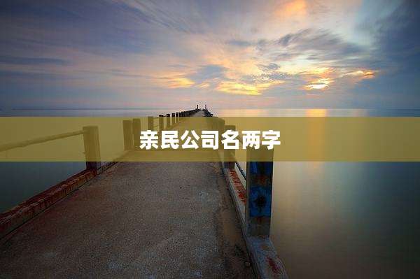 亲民公司名两字