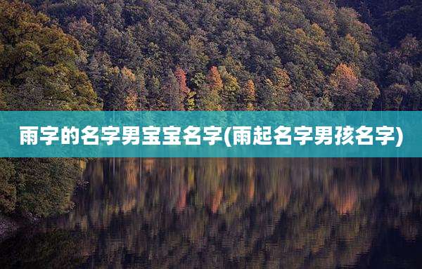 雨字的名字男宝宝名字(雨起名字男孩名字)