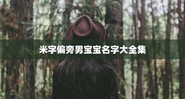 米字偏旁男宝宝名字大全集