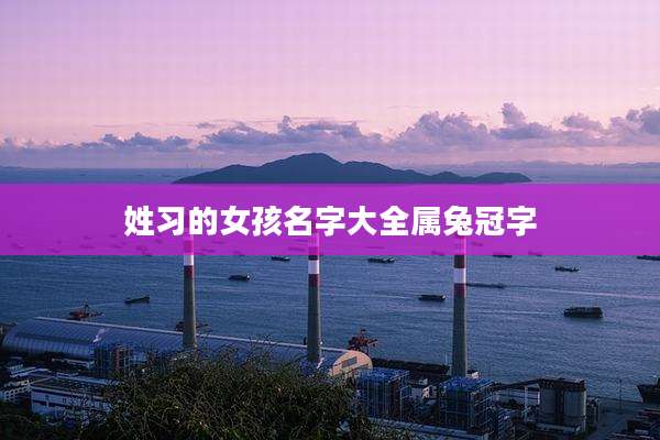姓习的女孩名字大全属兔冠字