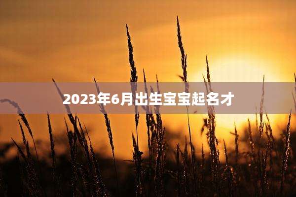 2023年6月出生宝宝起名才