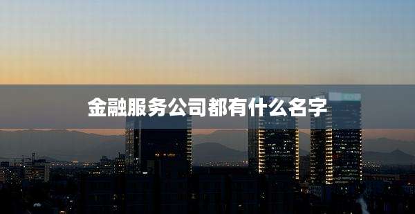 金融服务公司都有什么名字