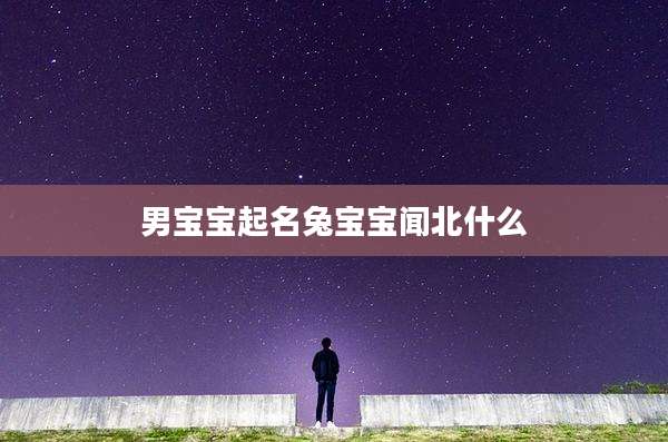 男宝宝起名兔宝宝闻北什么