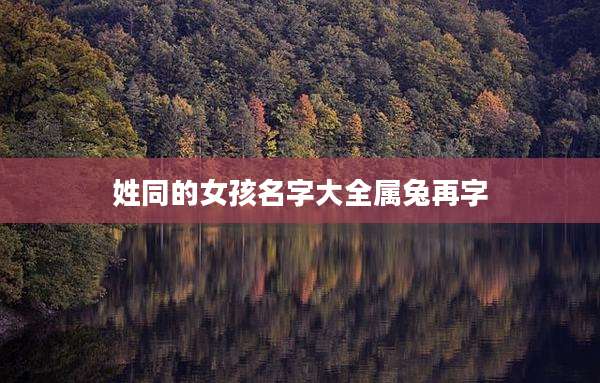 姓同的女孩名字大全属兔再字
