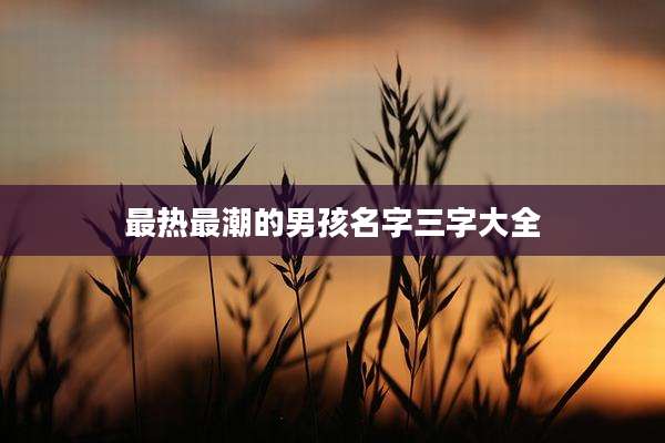 最热最潮的男孩名字三字大全