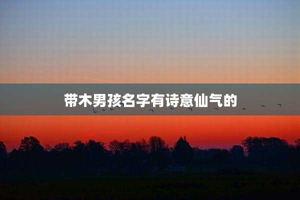 带木男孩名字有诗意仙气的