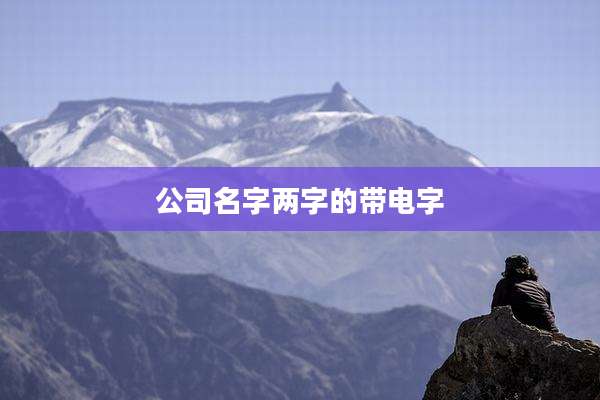 公司名字两字的带电字
