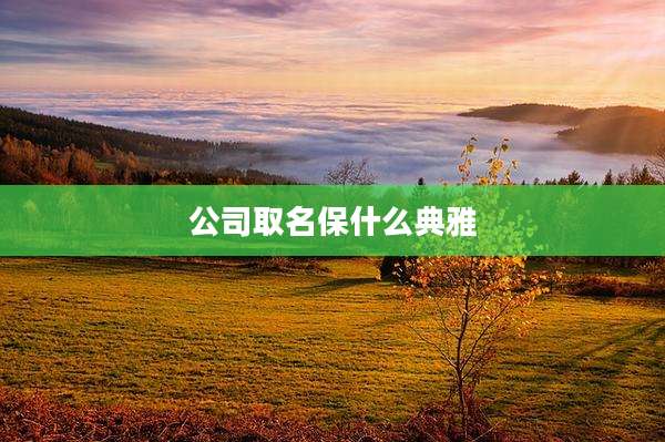 公司取名保什么典雅