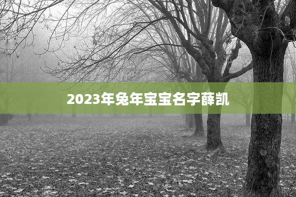 2023年兔年宝宝名字薛凯