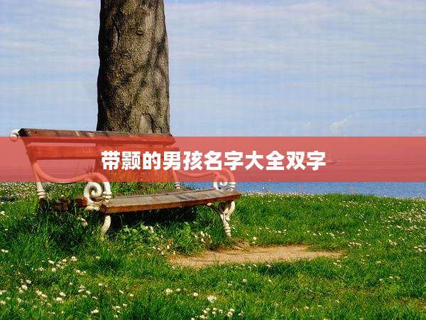 带颢的男孩名字大全双字