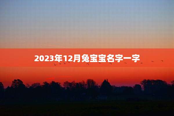 2023年12月兔宝宝名字一字