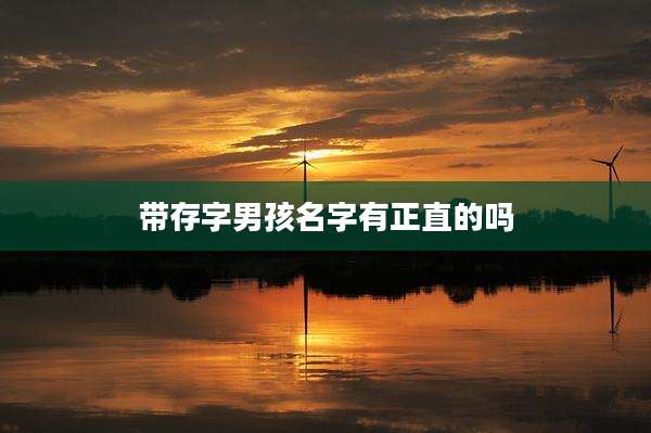 带存字男孩名字有正直的吗