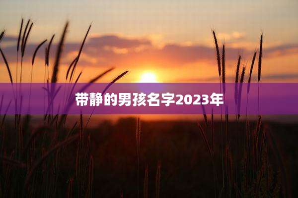 带静的男孩名字2023年