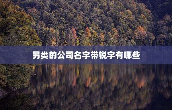 另类的公司名字带锐字有哪些