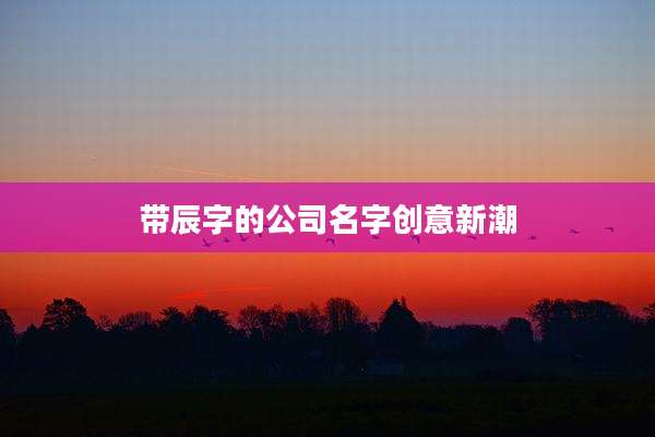 带辰字的公司名字创意新潮