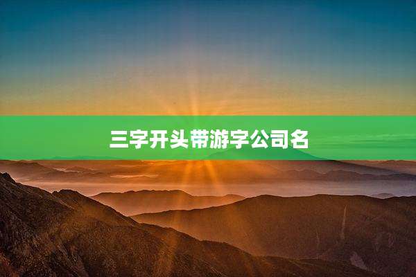 三字开头带游字公司名