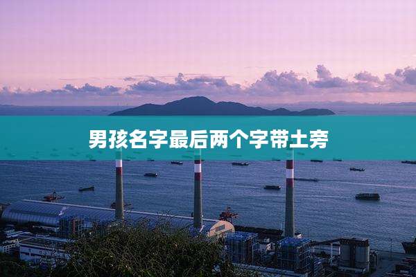 男孩名字最后两个字带土旁