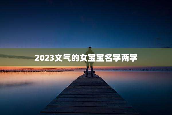 2023文气的女宝宝名字两字