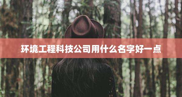 环境工程科技公司用什么名字好一点