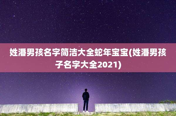 姓潘男孩名字简洁大全蛇年宝宝(姓潘男孩子名字大全2021)