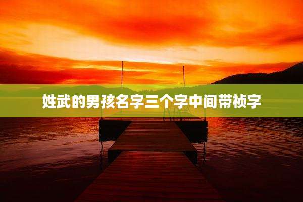 姓武的男孩名字三个字中间带祯字
