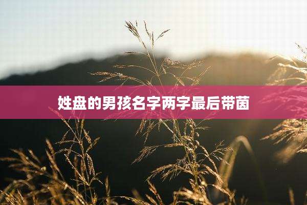 姓盘的男孩名字两字最后带茵