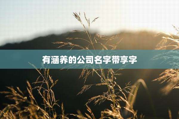 有涵养的公司名字带享字