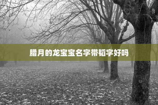 腊月的龙宝宝名字带韬字好吗