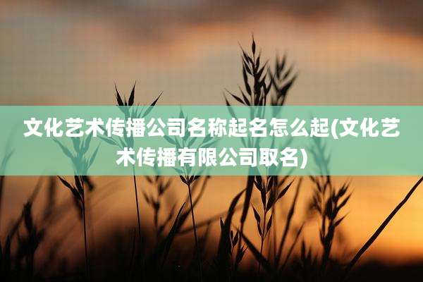 文化艺术传播公司名称起名怎么起(文化艺术传播有限公司取名)