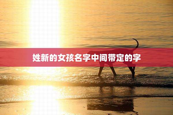 姓新的女孩名字中间带定的字