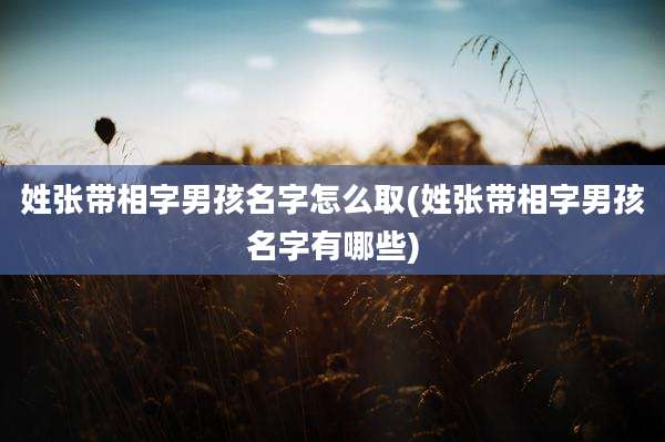 姓张带相字男孩名字怎么取(姓张带相字男孩名字有哪些)