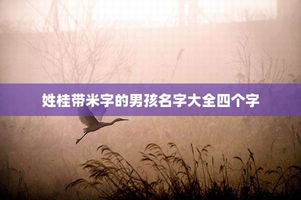 姓桂带米字的男孩名字大全四个字