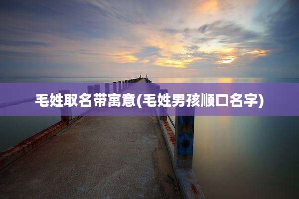 毛姓取名带寓意(毛姓男孩顺口名字)