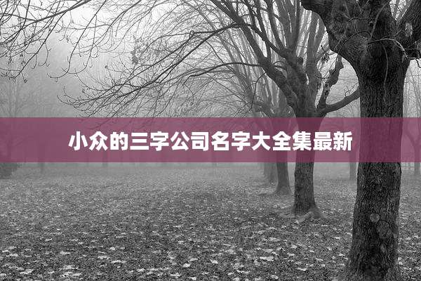 小众的三字公司名字大全集最新