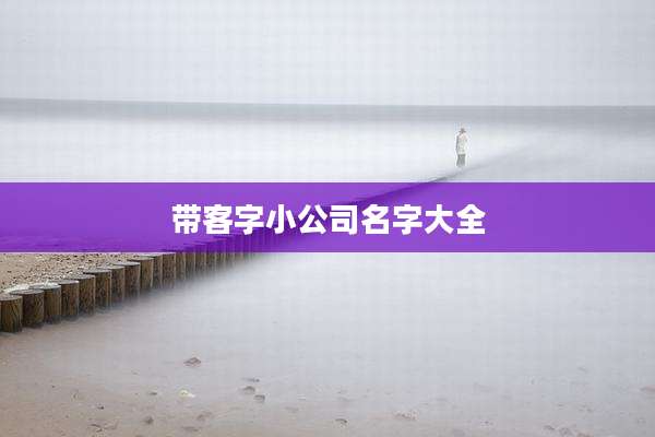 带客字小公司名字大全