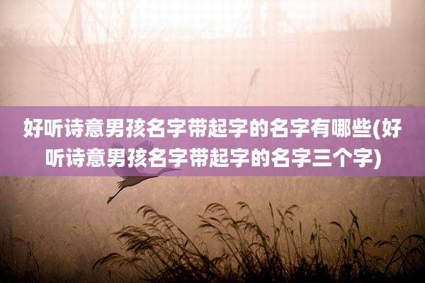 好听诗意男孩名字带起字的名字有哪些(好听诗意男孩名字带起字的名字三个字)