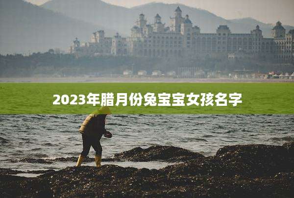 2023年腊月份兔宝宝女孩名字