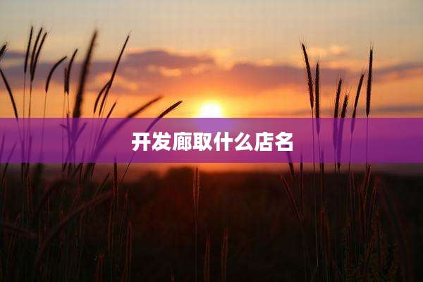 开发廊取什么店名