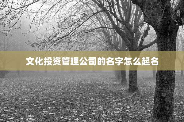 文化投资管理公司的名字怎么起名