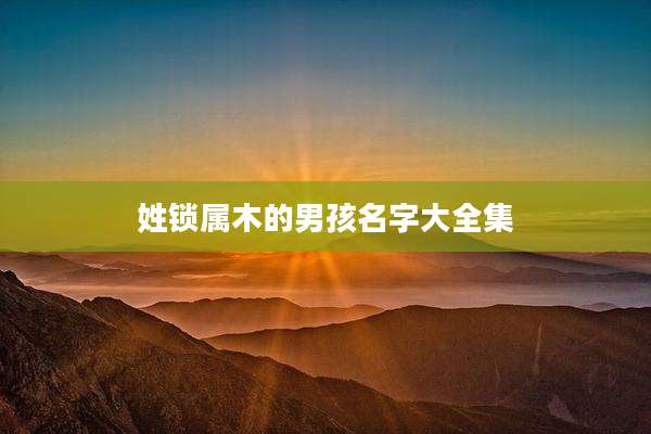 姓锁属木的男孩名字大全集