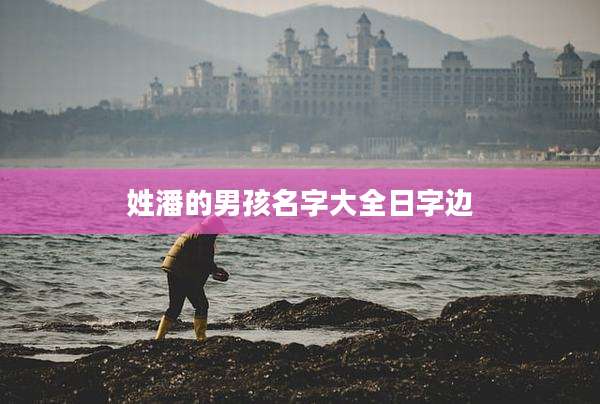 姓潘的男孩名字大全日字边