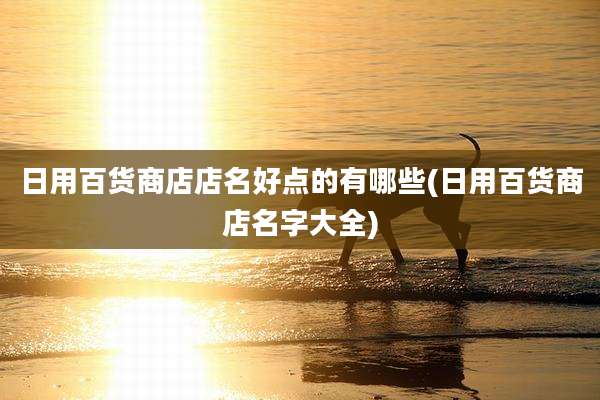 日用百货商店店名好点的有哪些(日用百货商店名字大全)