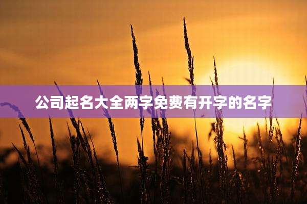 公司起名大全两字免费有开字的名字