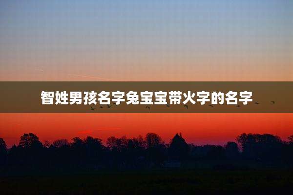 智姓男孩名字兔宝宝带火字的名字