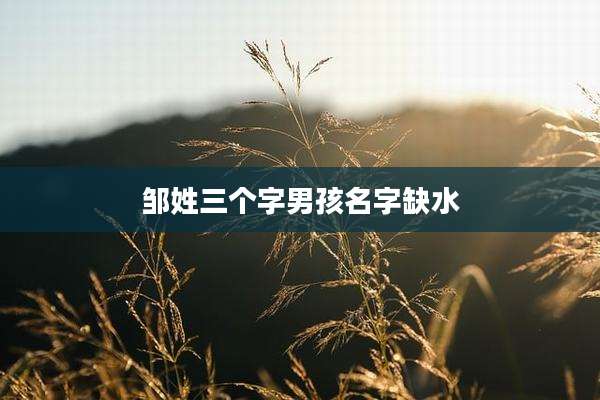 邹姓三个字男孩名字缺水
