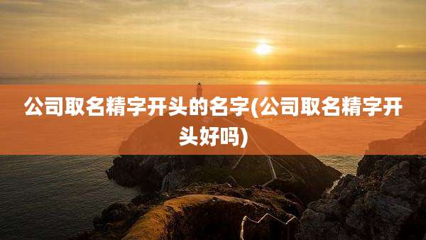 公司取名精字开头的名字(公司取名精字开头好吗)