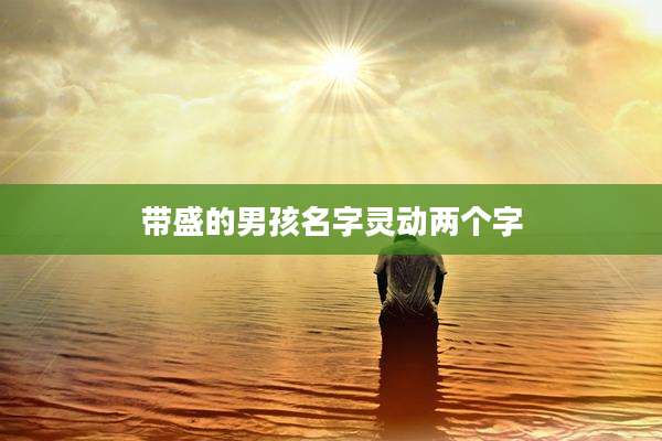 带盛的男孩名字灵动两个字