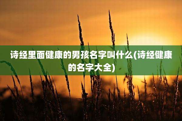 诗经里面健康的男孩名字叫什么(诗经健康的名字大全)