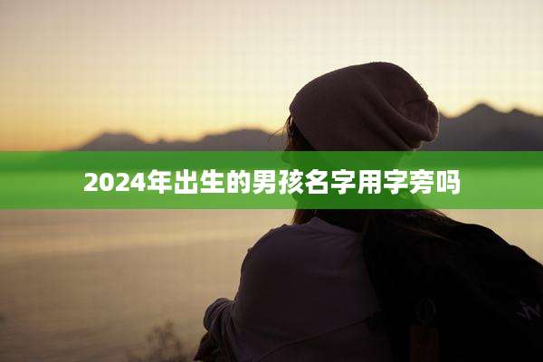 2024年出生的男孩名字用字旁吗