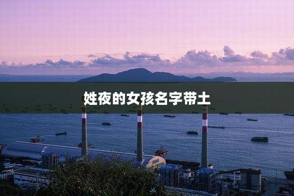 姓夜的女孩名字带土